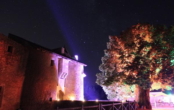 Une vue de nuit du château éclairé de lumière d'ambiance avec des étoiles.