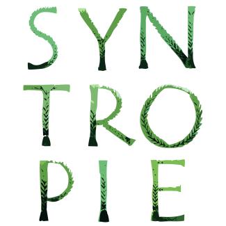 Syntropie