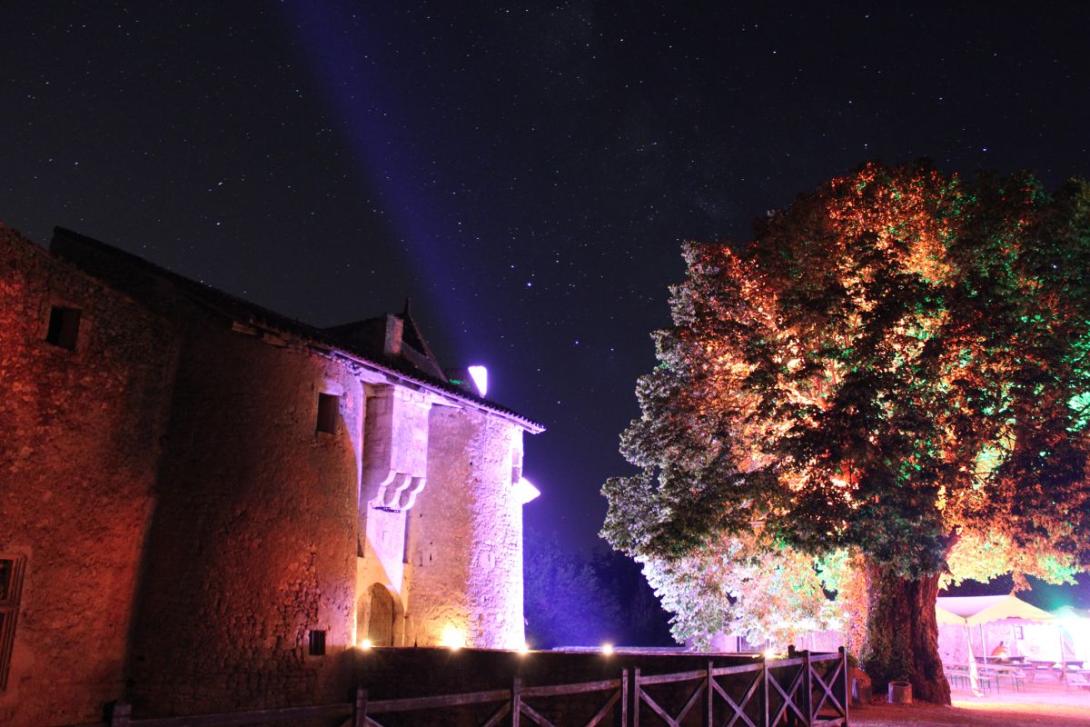 Une vue de nuit du château éclairé de lumière d'ambiance avec des étoiles.